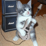 kucing-eza